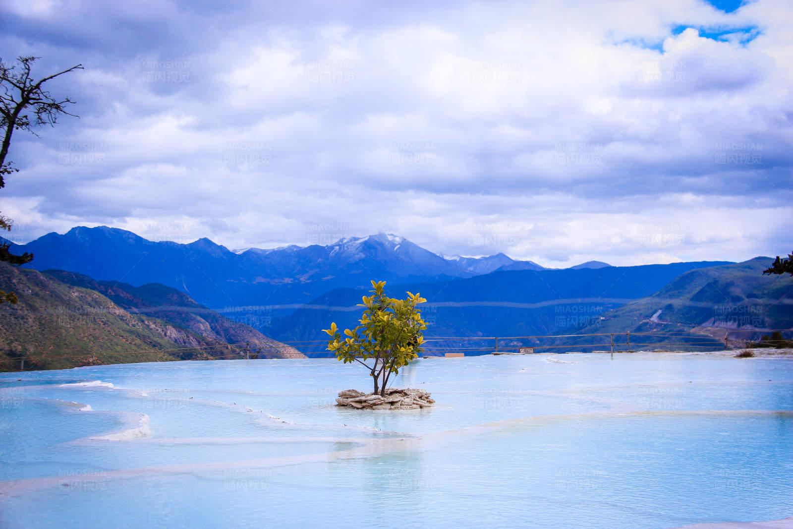 白水台孤树映水天际蓝图片