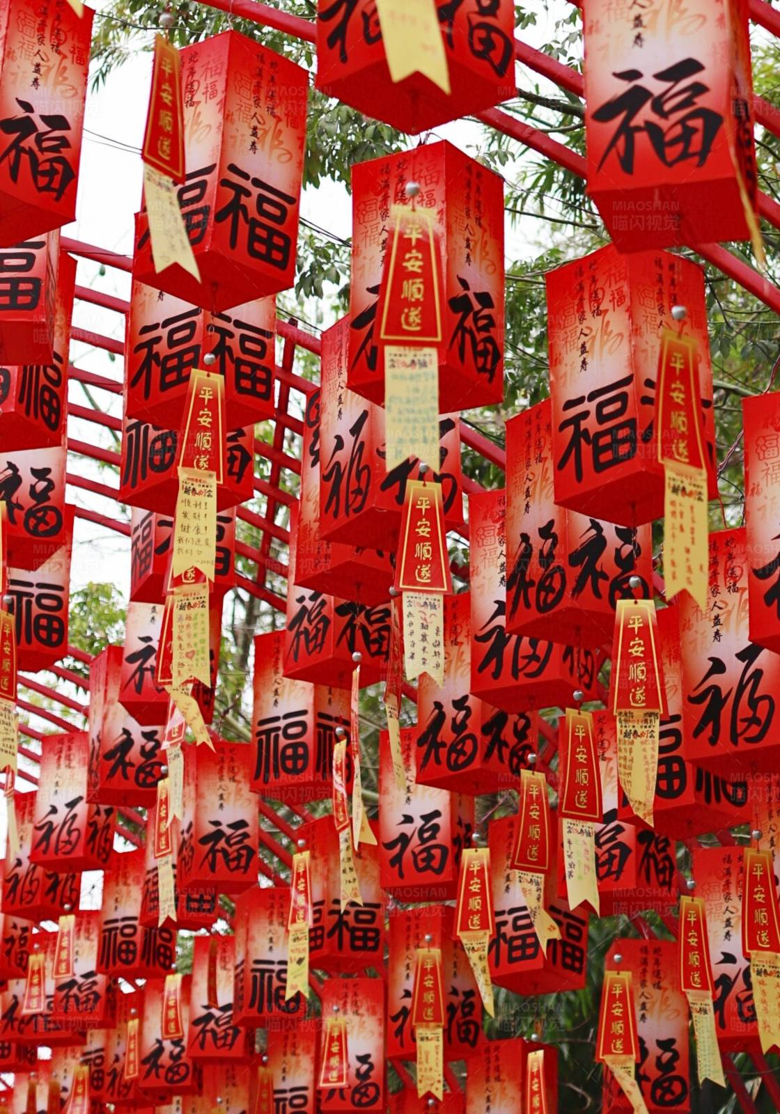 福字灯笼挂满树图片