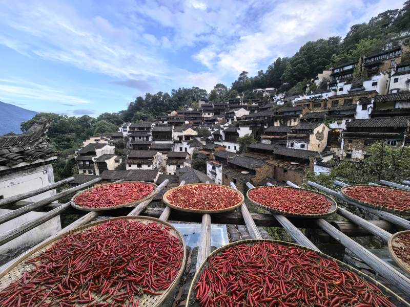 婺源篁岭民居辣椒晒秋图图片