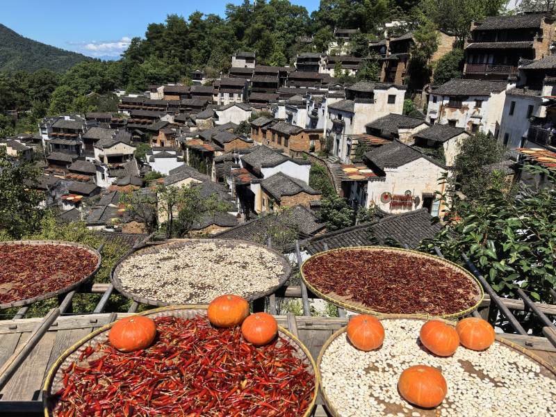 婺源篁岭晒秋图片