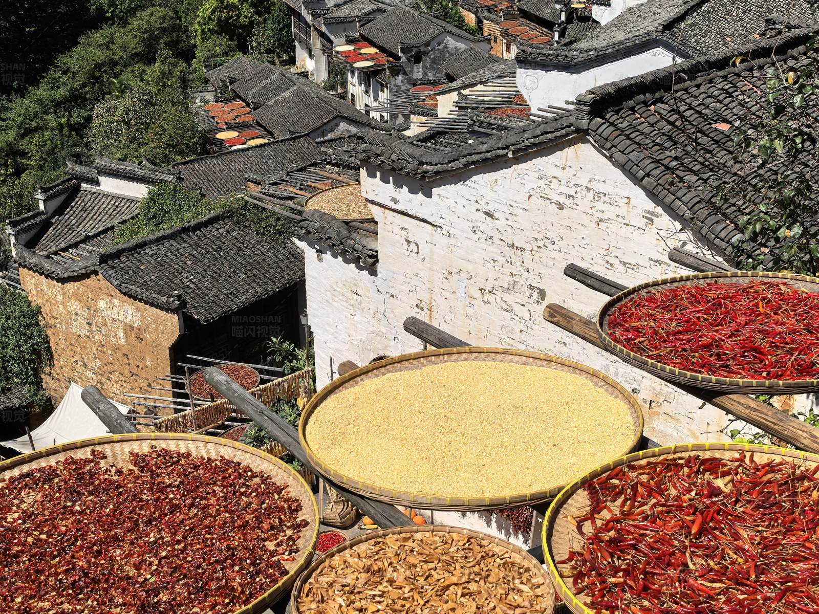 婺源篁岭晒秋丰收图图片