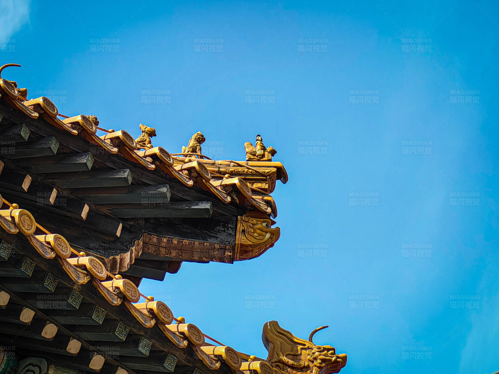 金色屋檐映蓝天图片