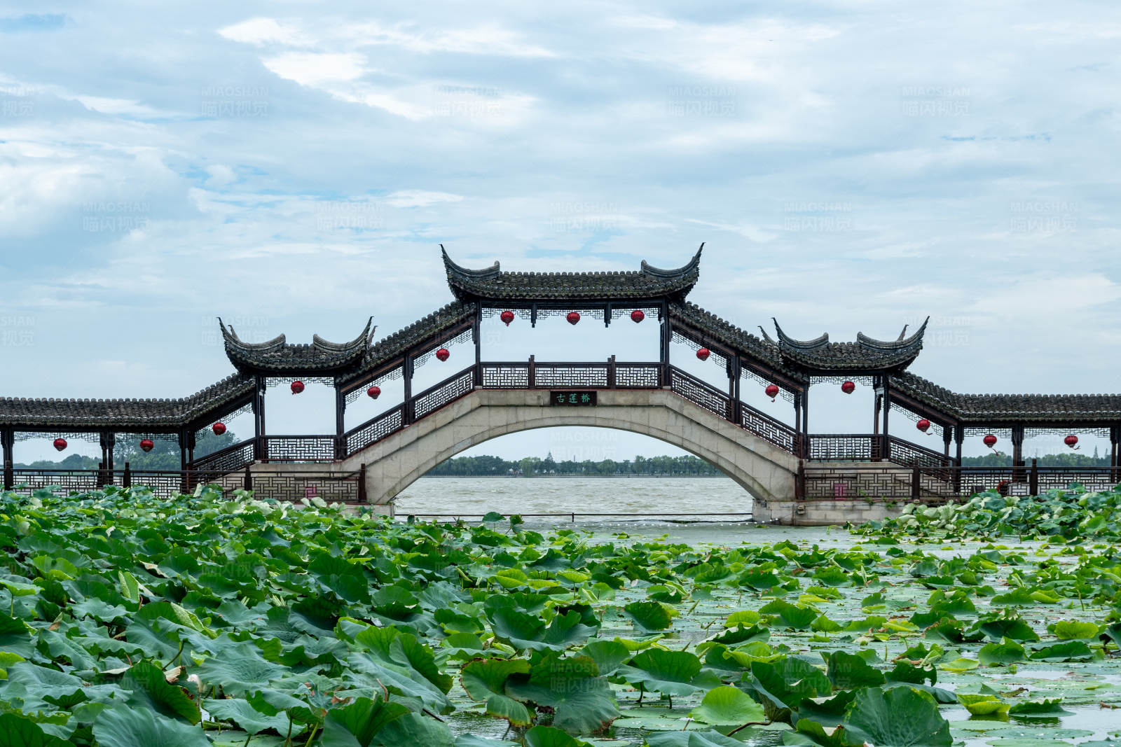 中国苏州昆山市锦溪古镇十眼长桥夏季湖景图片