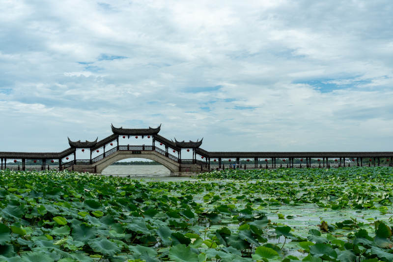 中国苏州昆山市锦溪古镇十眼长桥夏季湖景图片