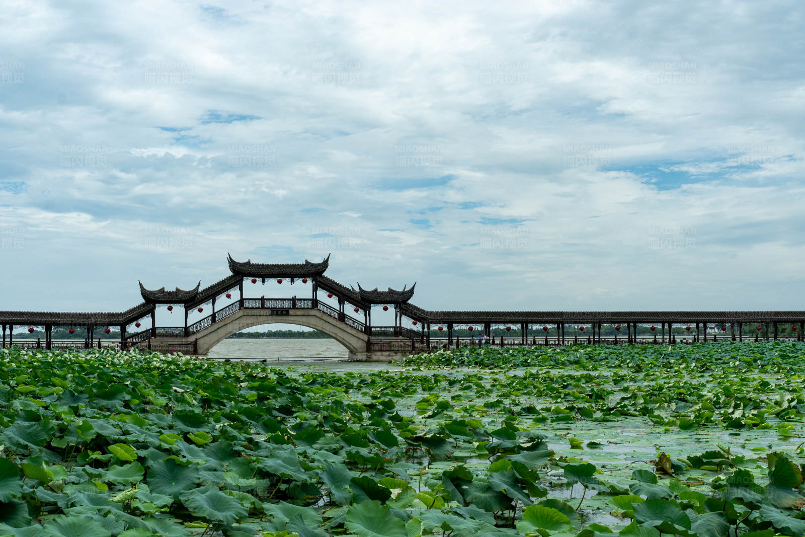 中国苏州昆山市锦溪古镇十眼长桥夏季湖景图片