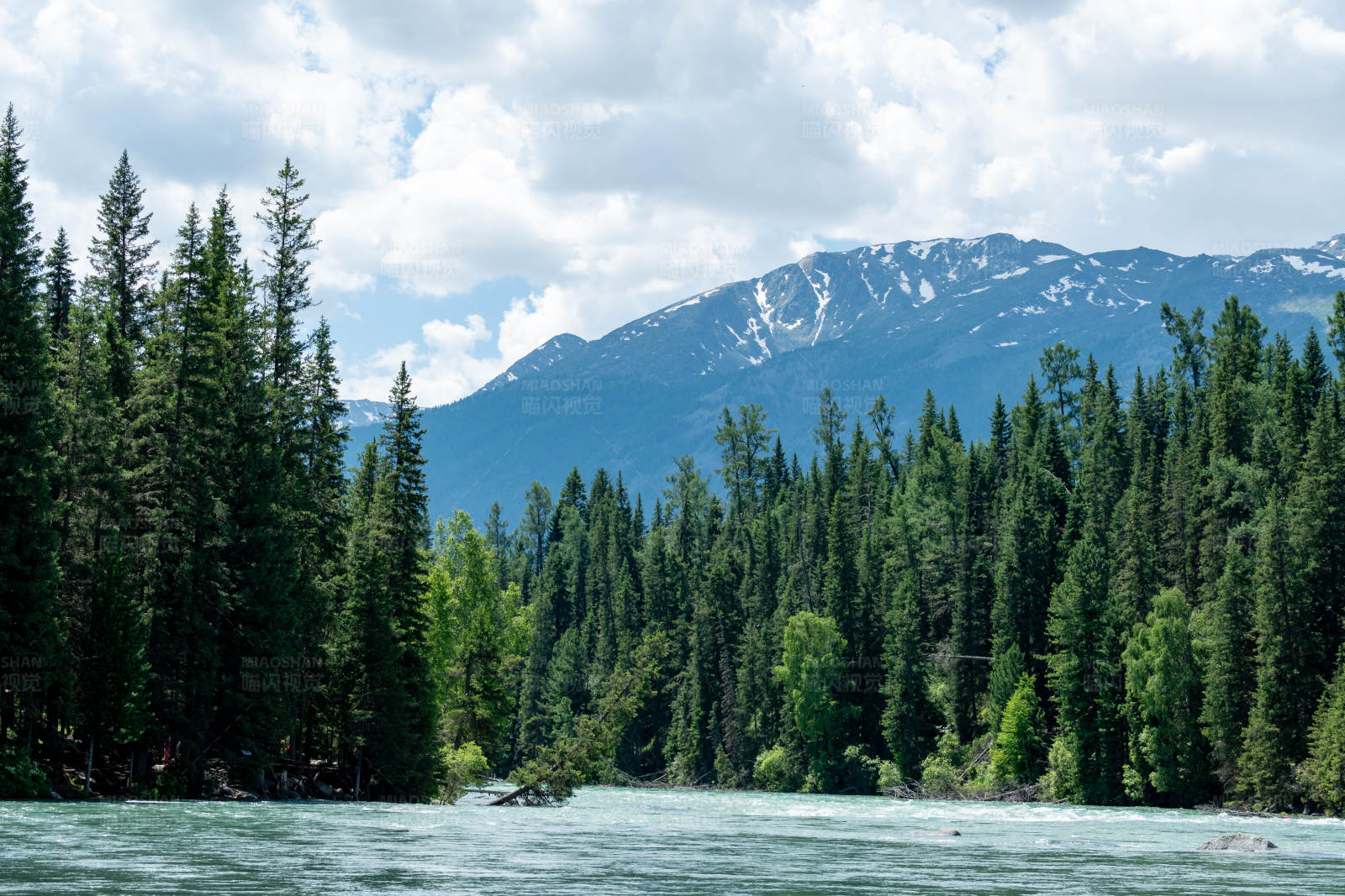 新疆喀纳斯景区自然风光图片