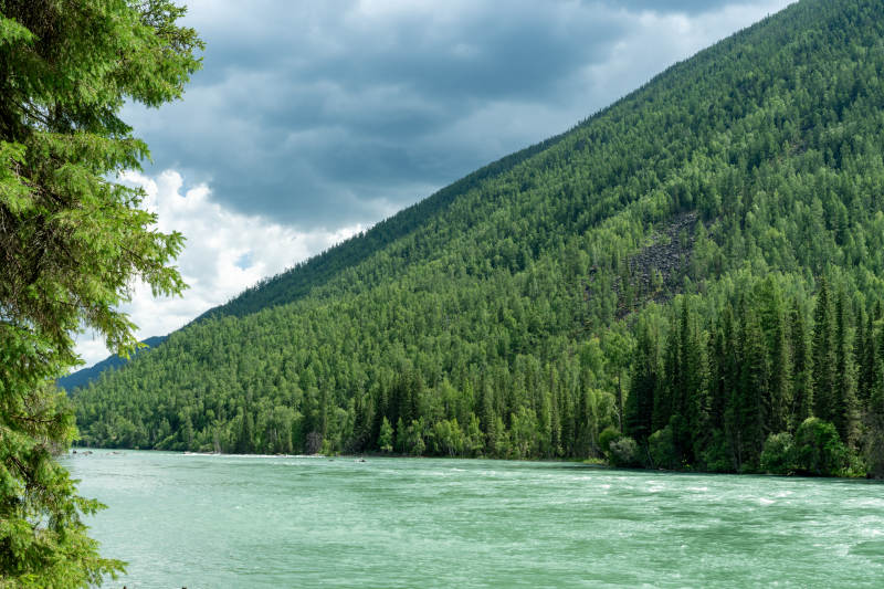 新疆喀纳斯景区自然风光图片
