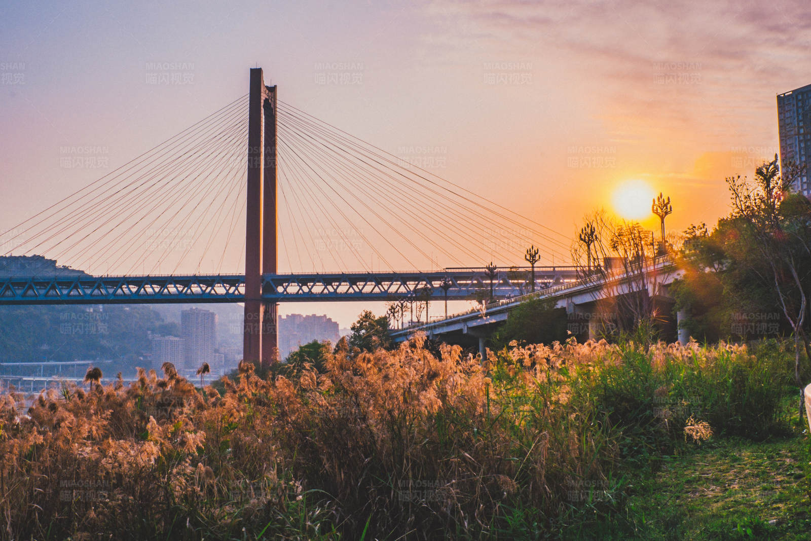 夕阳下的重庆红岩村大桥图片