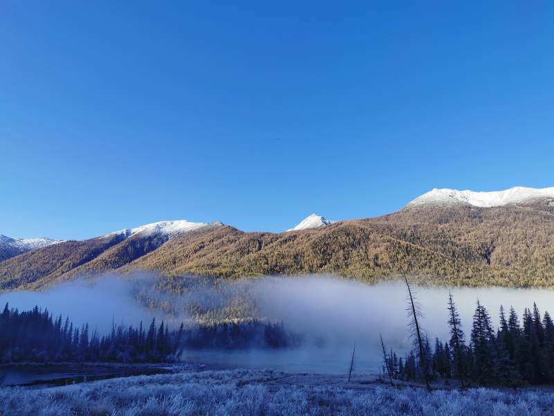 新疆禾木晨雾缭绕的雪山森林图片