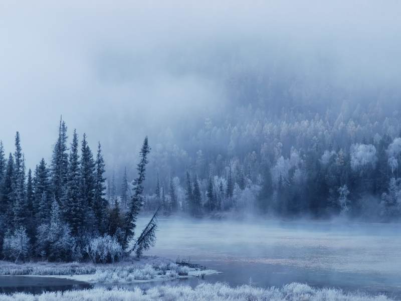 新疆禾木冬日晨雾中的宁静湖畔图片