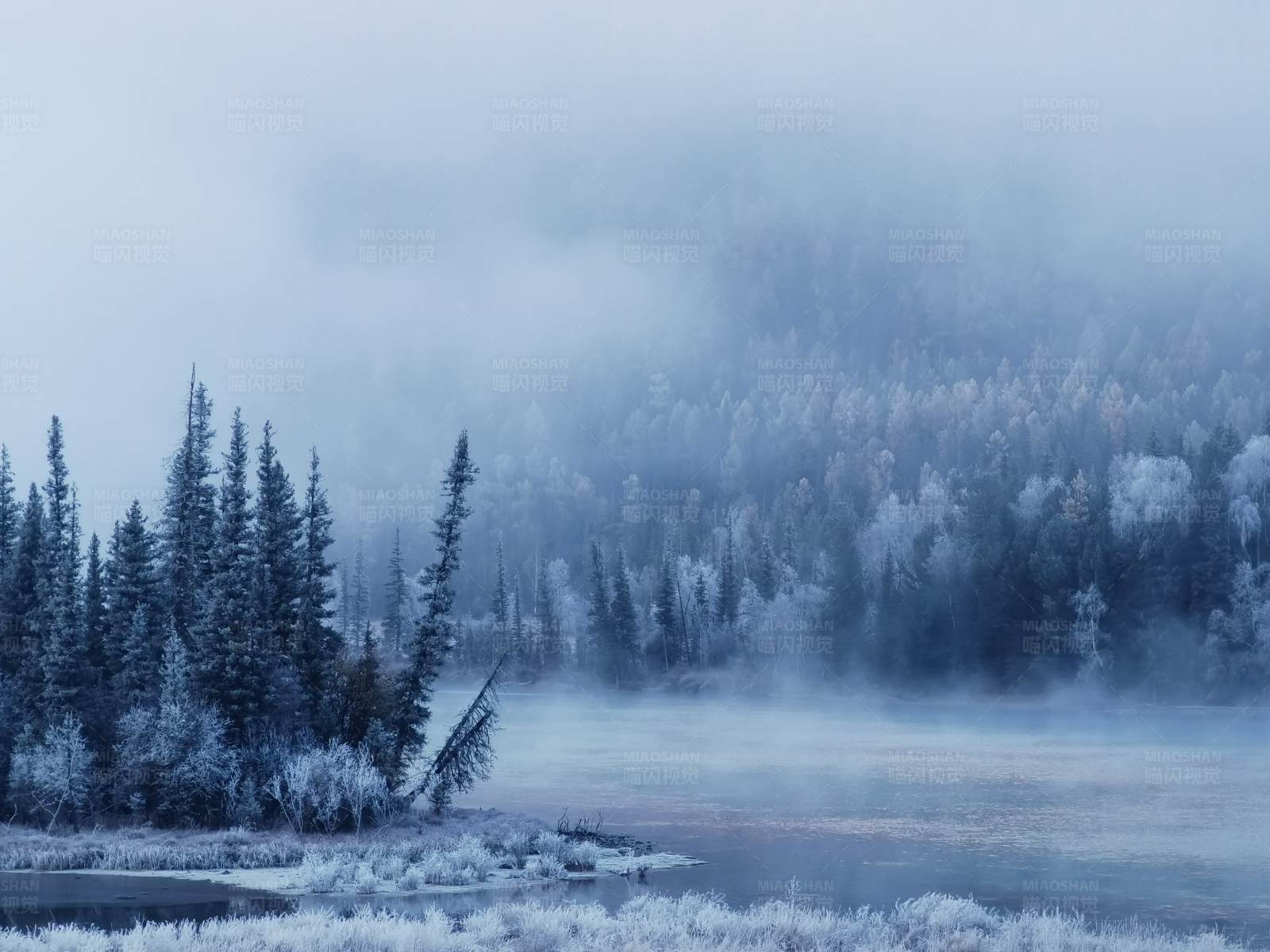 新疆禾木冬日晨雾中的宁静湖畔图片