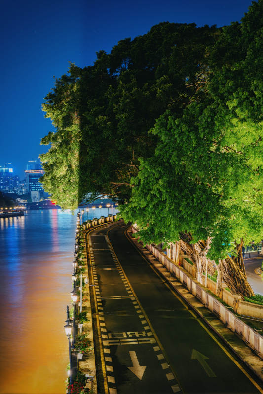 夜色江边路图片