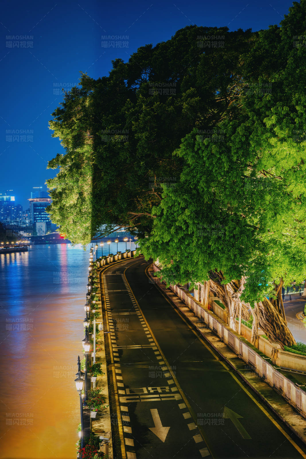 夜色江边路图片