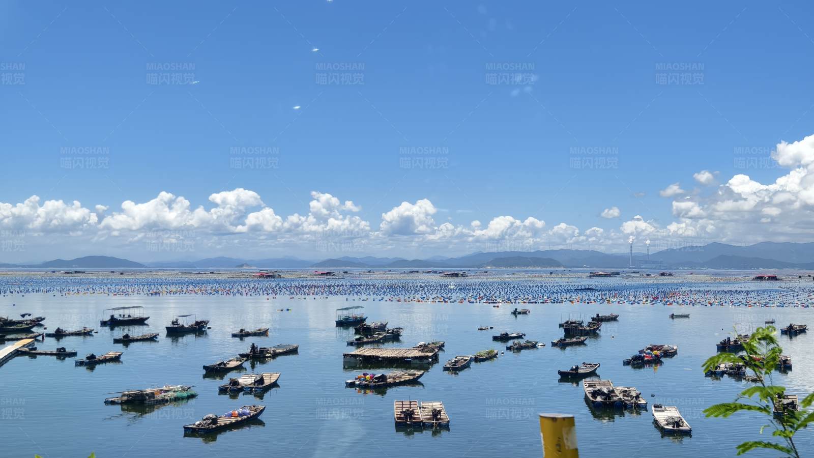 南澳岛海上渔村 千帆竞发图片