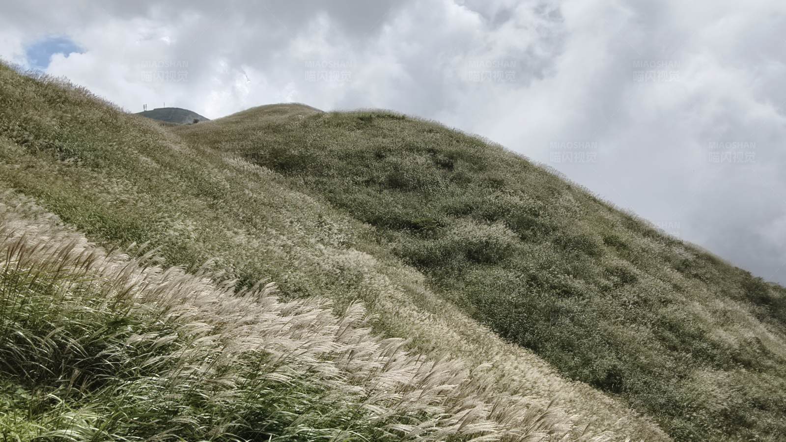 云雾缭绕的山坡图片