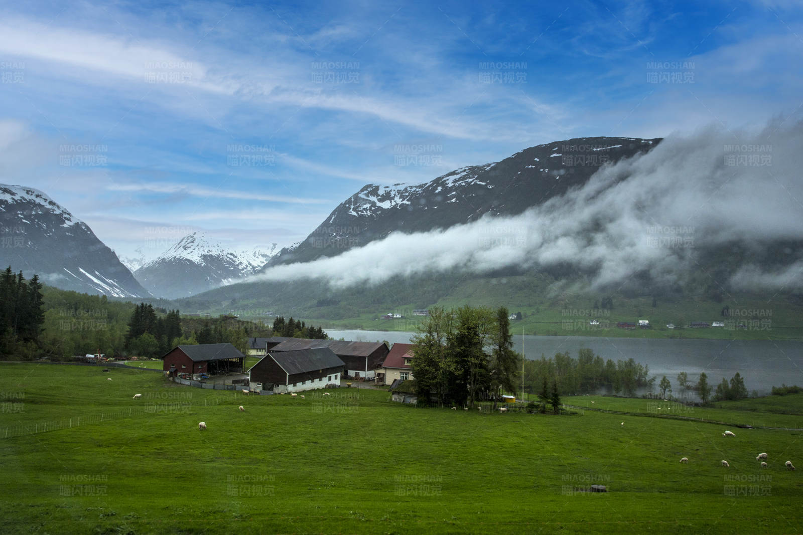 山间牧场(挪威松恩峡湾)图片