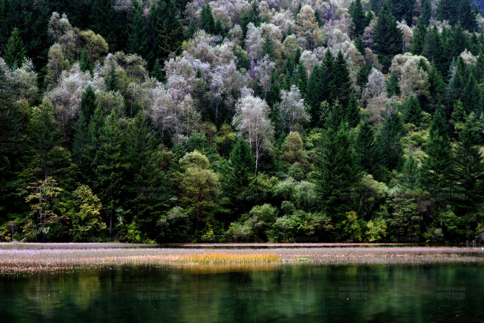 九寨沟海子秋色图片