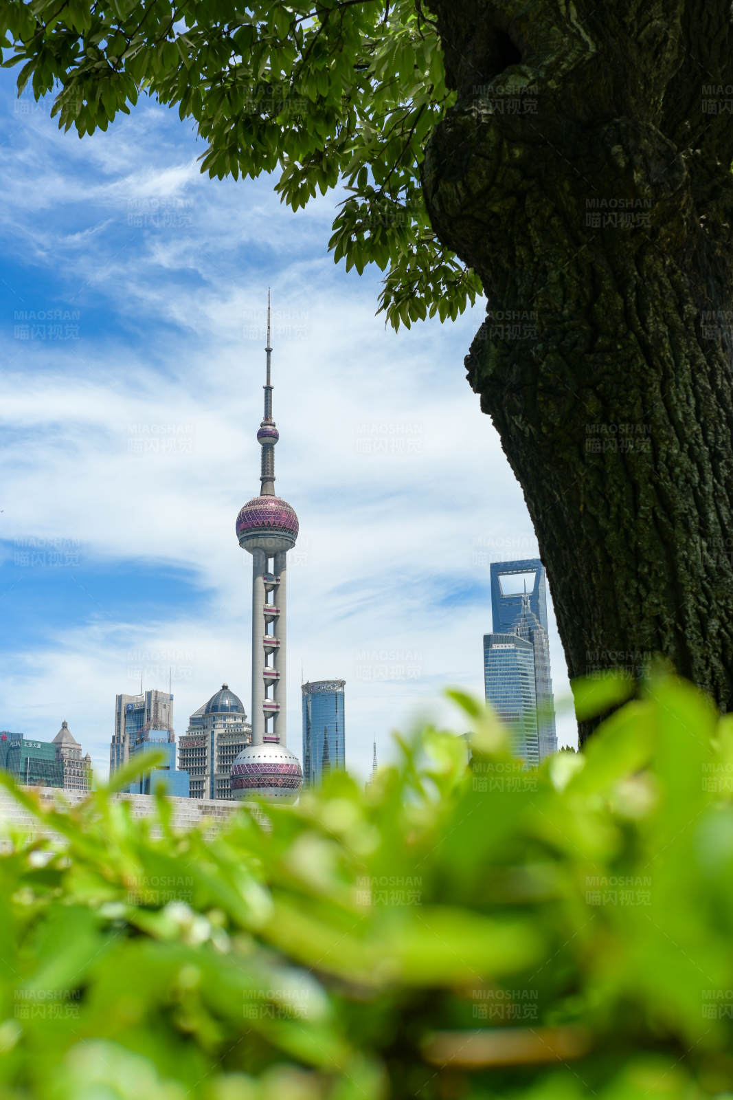 东方明珠塔与自然景观图片