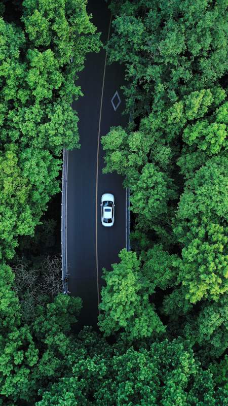 航拍森林中蜿蜒的公路图片