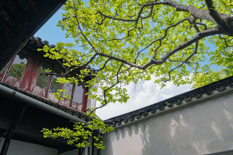 古建筑与绿树图片