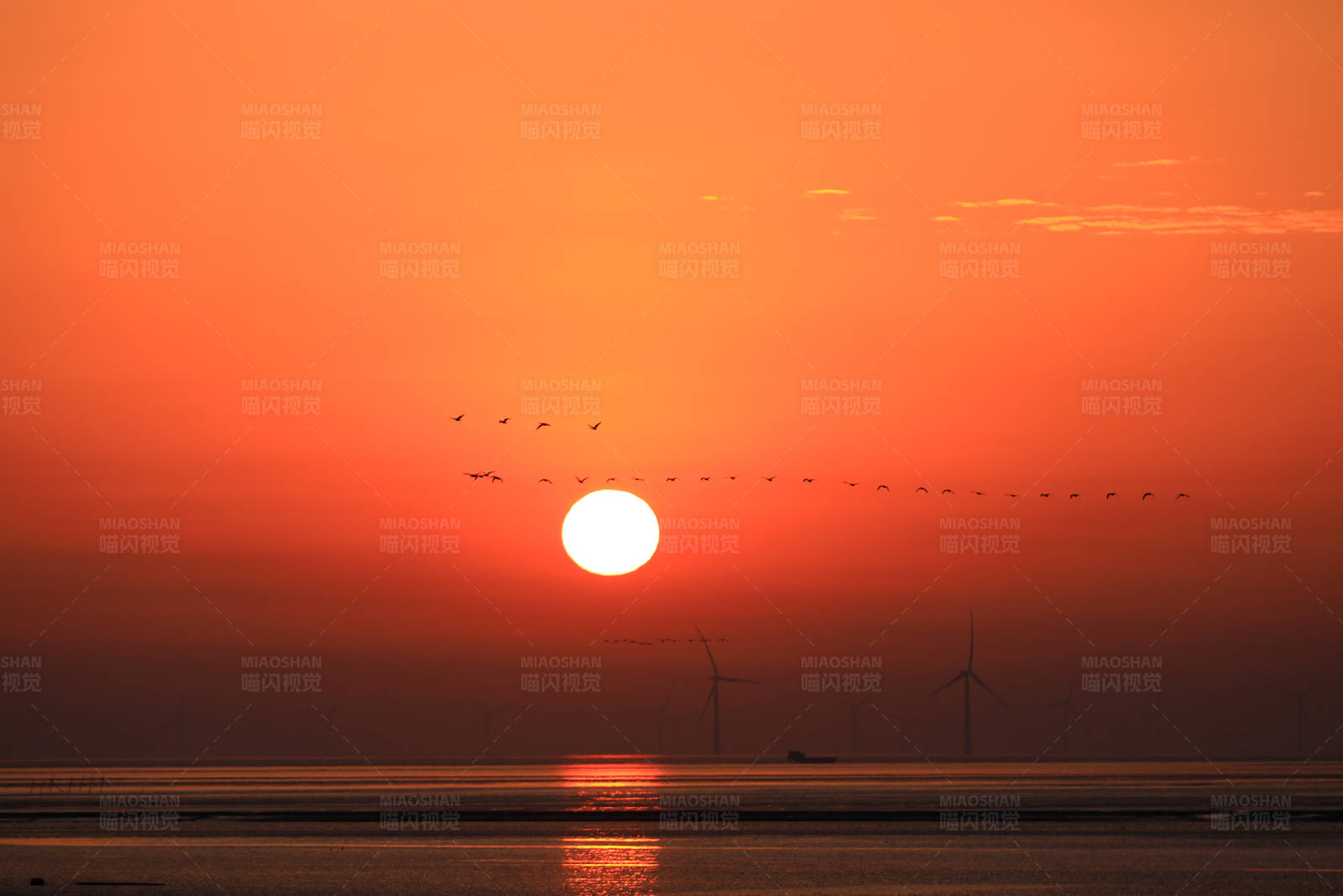 海上日出的风车和鸟群图片