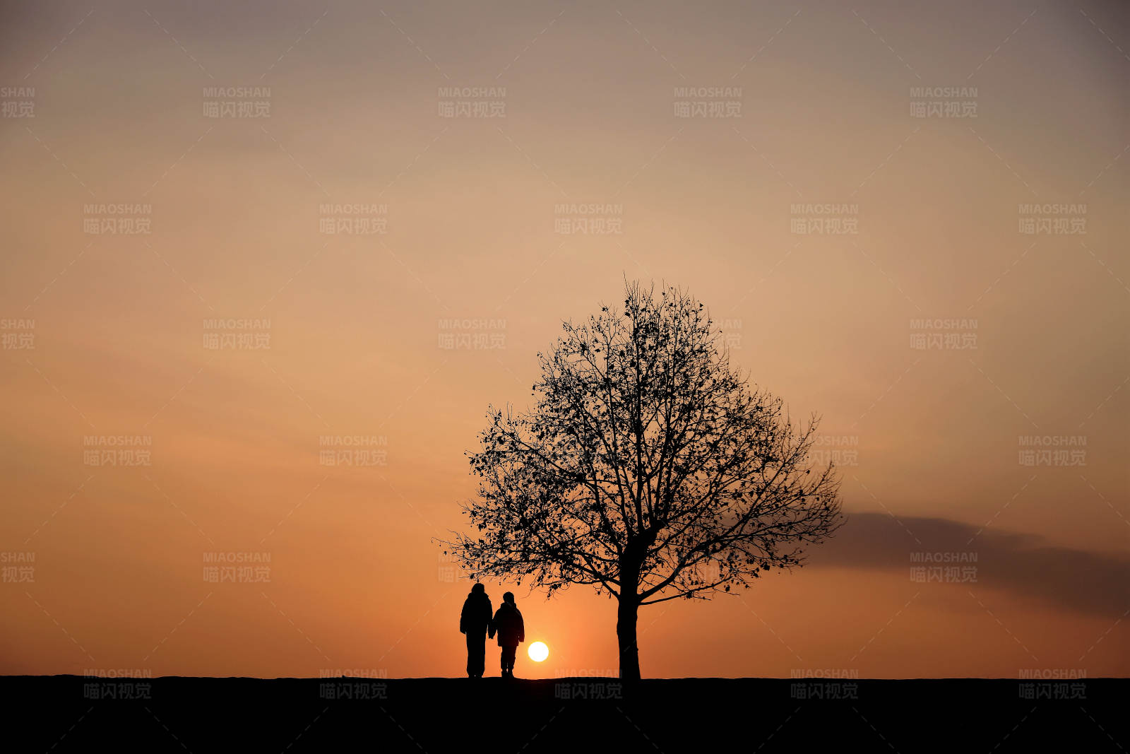 夕阳下的陪伴图片