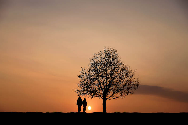 夕阳下的陪伴图片
