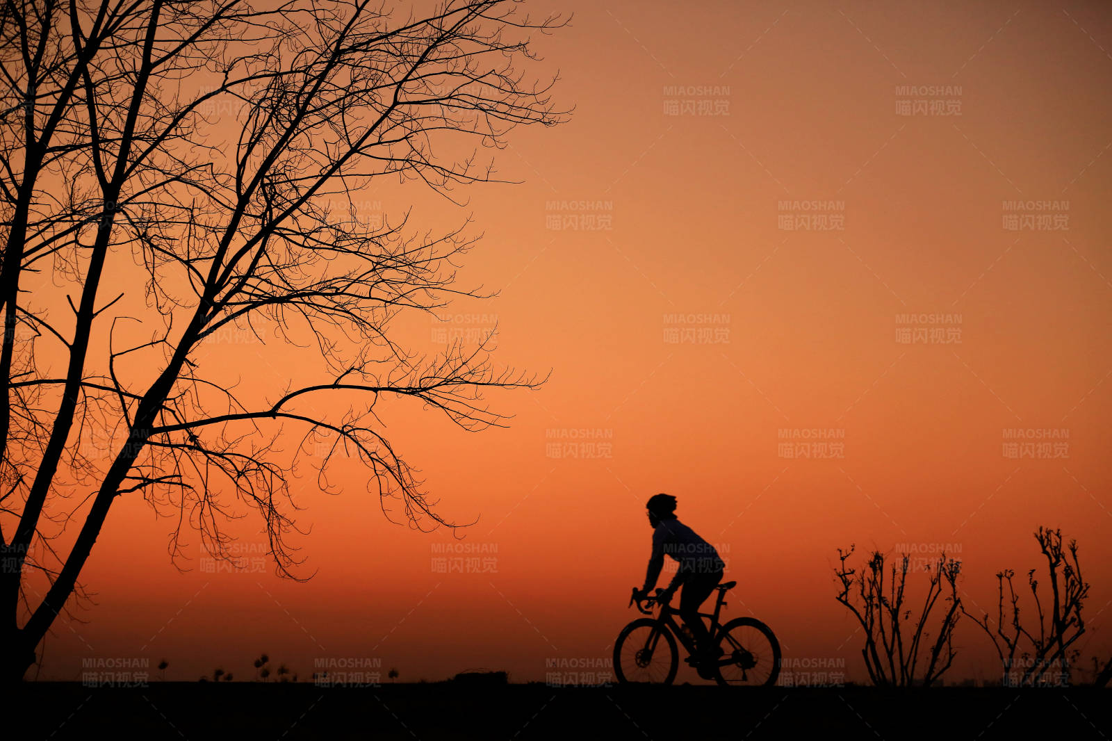 南京江心洲夕阳下的骑行者图片