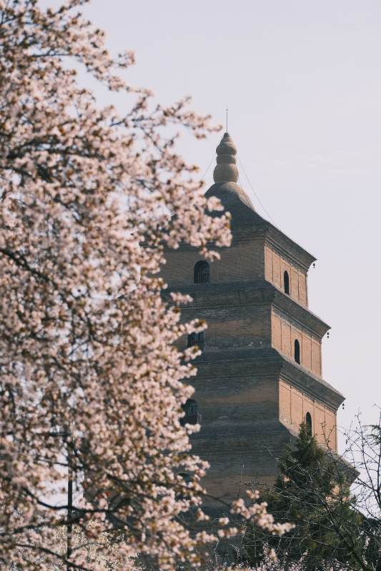 西安大雁塔图片