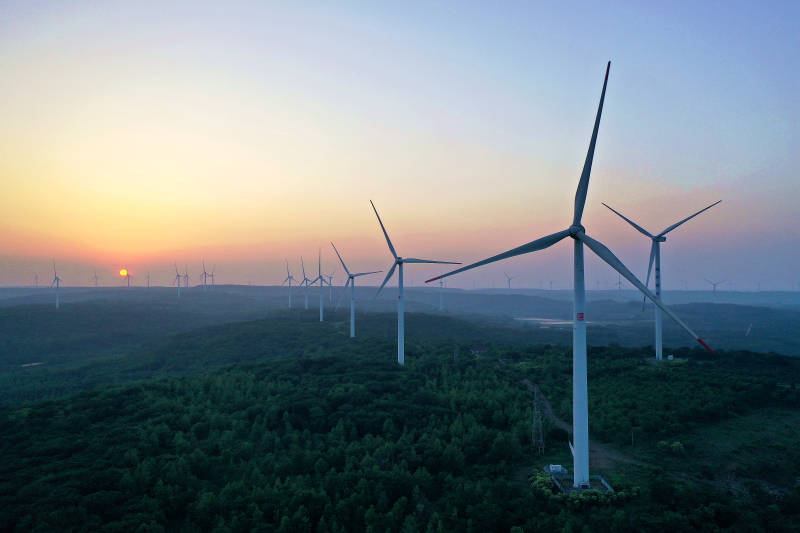 六合竹镇夕阳下的风车森林图片