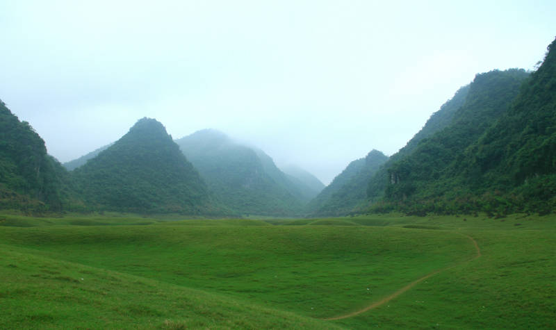 广西更望湖的绿色草地图片