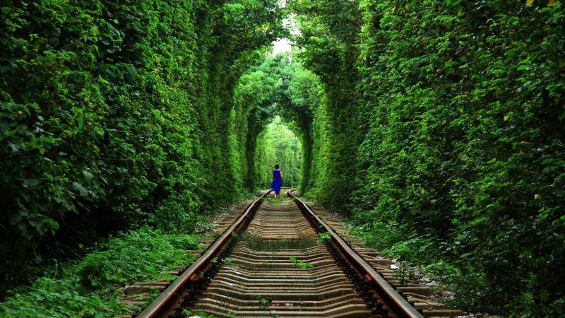 南京江宁森林中的铁轨图片