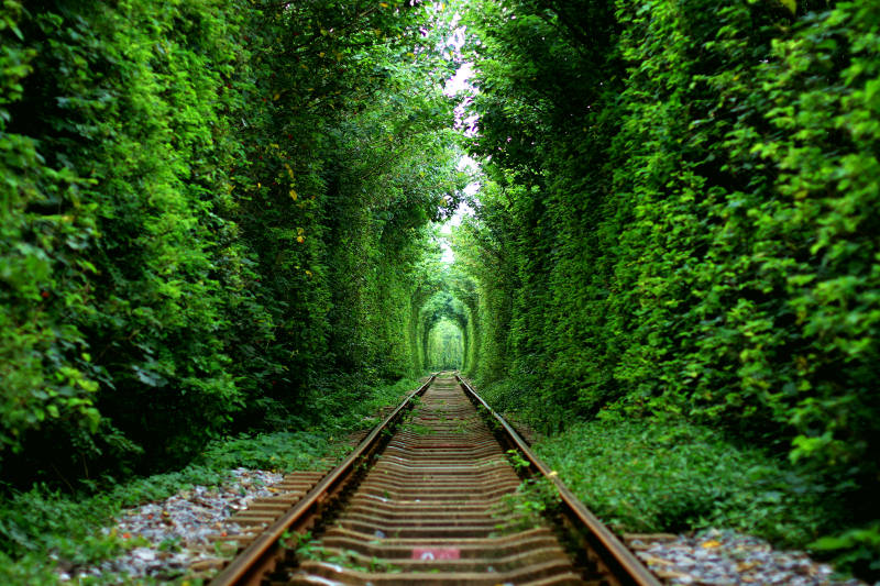 南京绿色森林里的铁轨图片