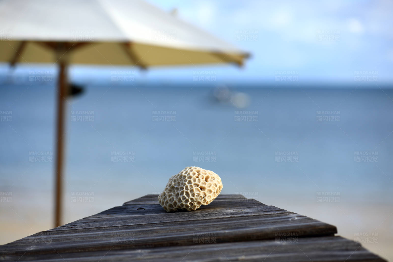 海滩上的珊瑚与遮阳伞图片
