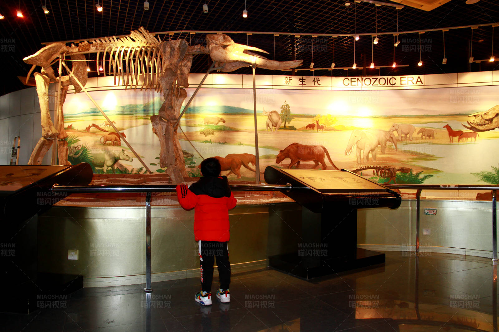 探索恐龙世界的小学生图片