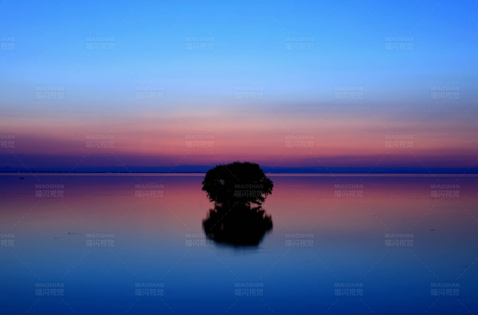 南京石臼湖 暮色中湖面的孤独树图片