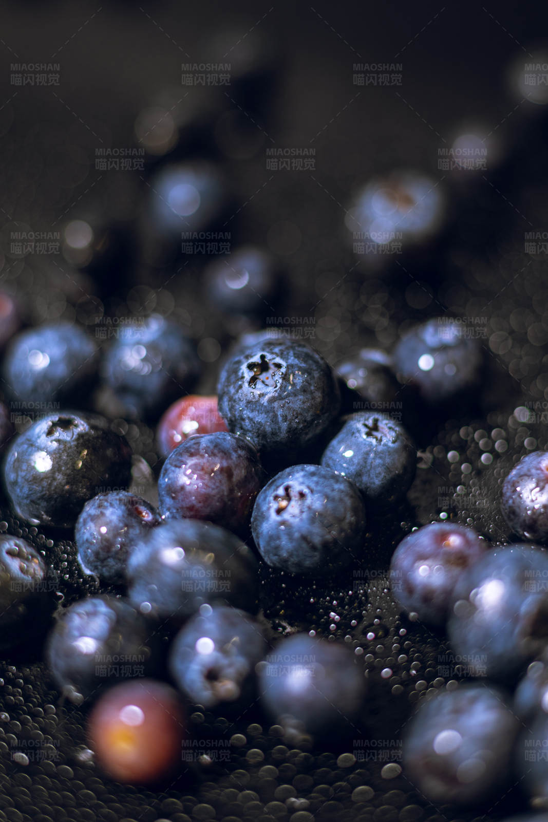 蓝莓特写图片