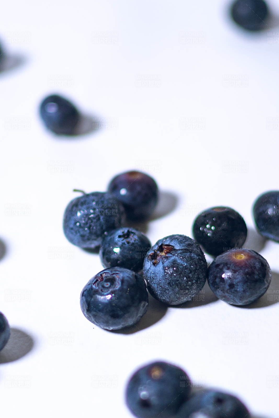 蓝莓散落在白色背景上图片