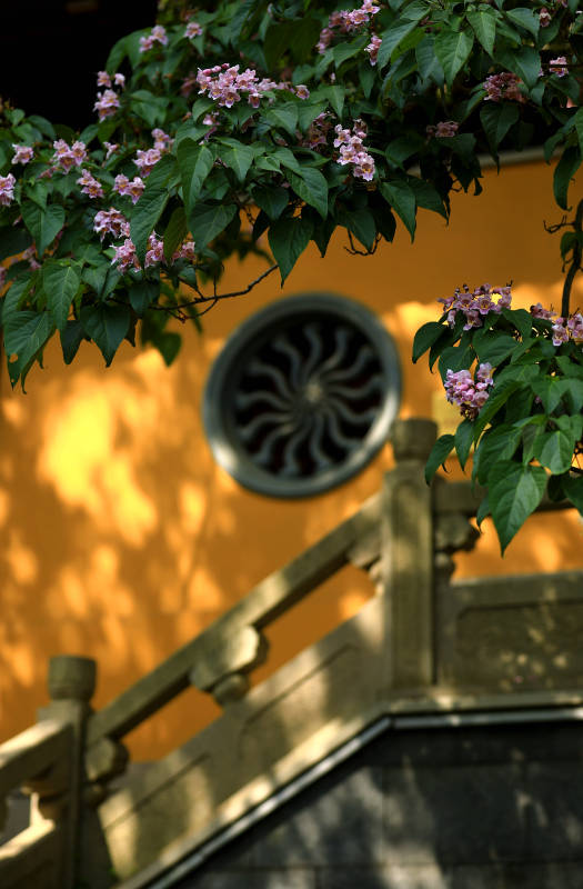 花影婆娑古寺图片