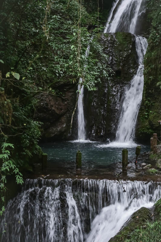 森林瀑布--青城山图片