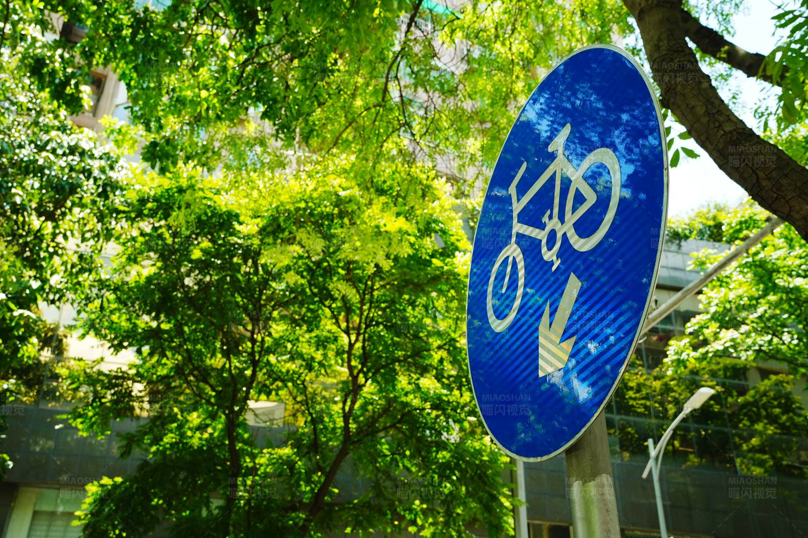 自行车道指示牌图片