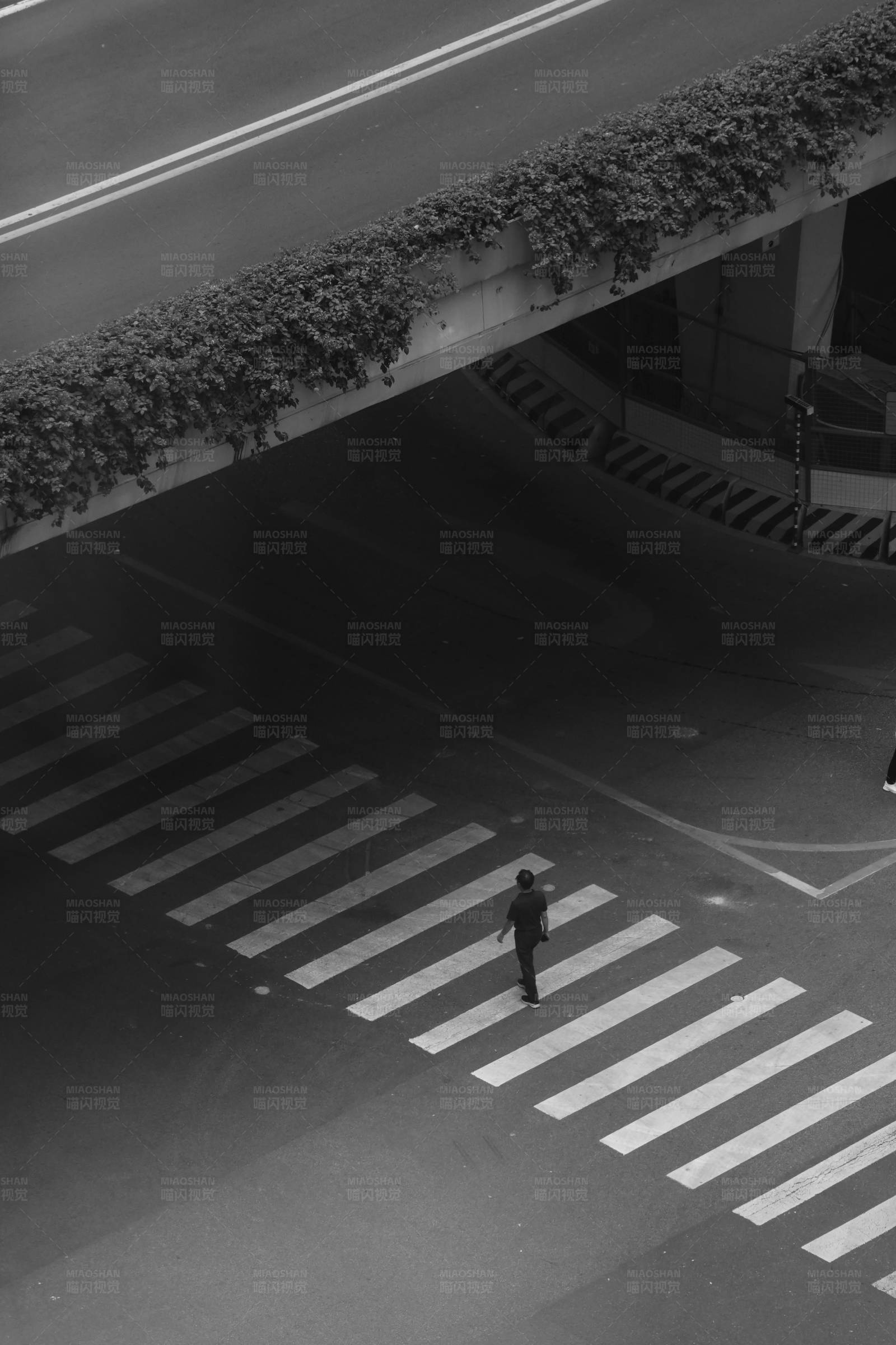 斑马线行人图片