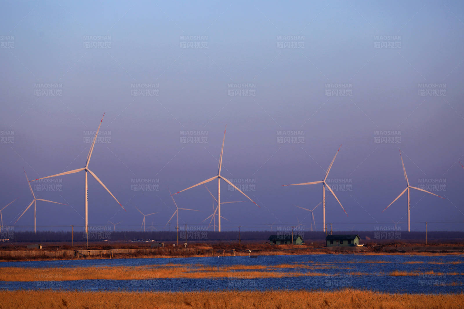 江苏东台滩涂湿地海滨风车田图片