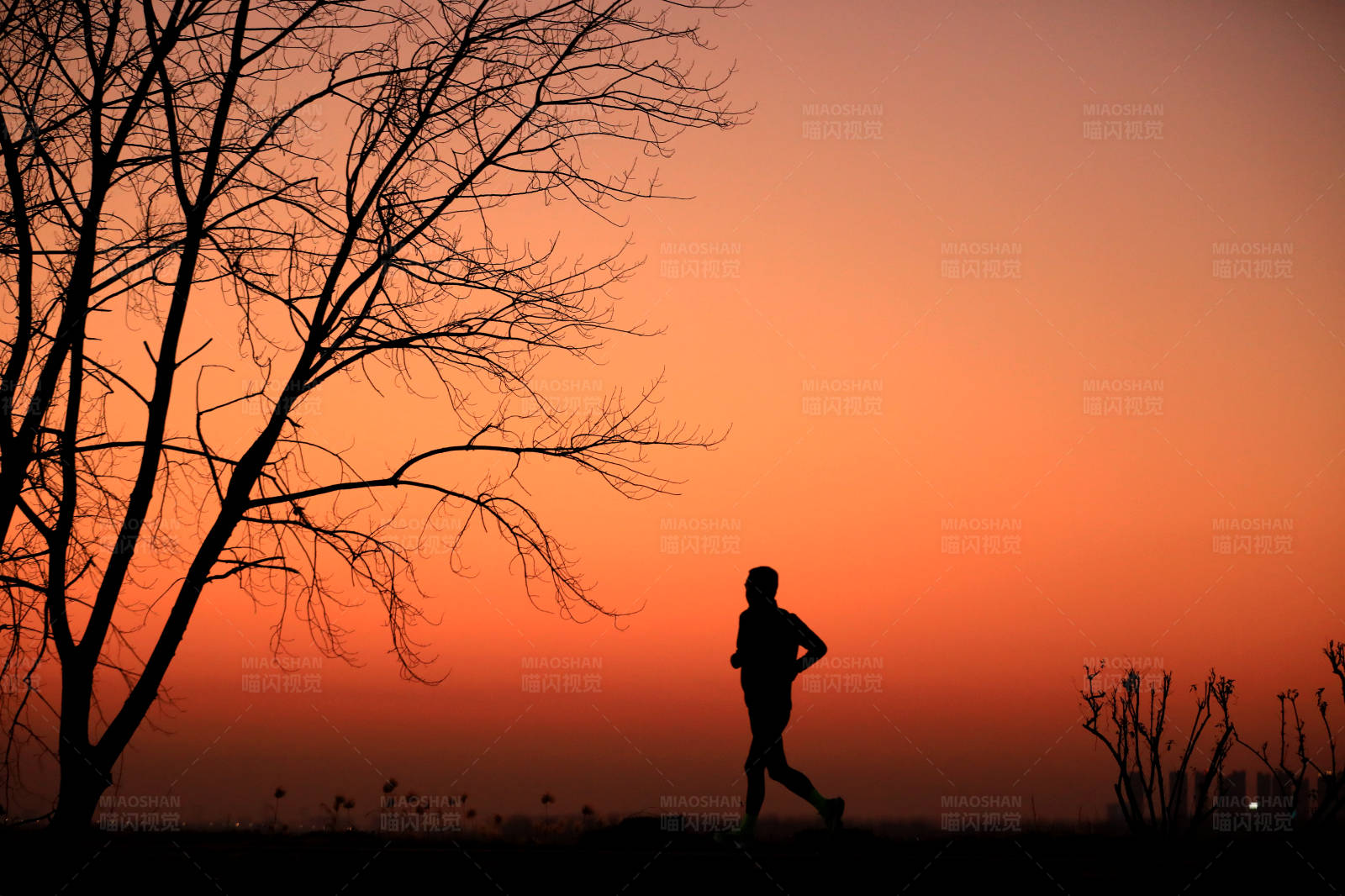 夕阳下的奔跑者图片