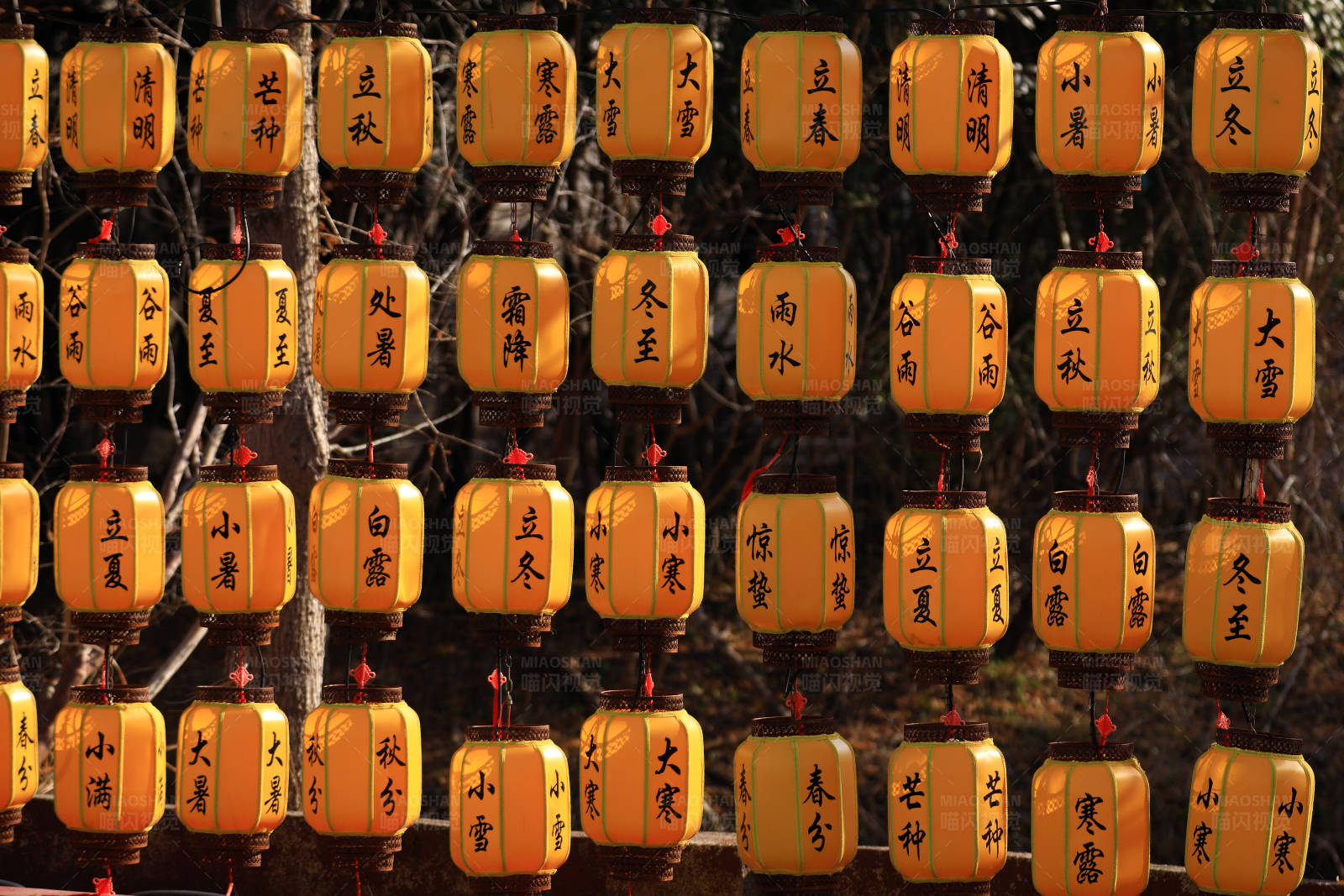 灯笼上的二十四节气图片