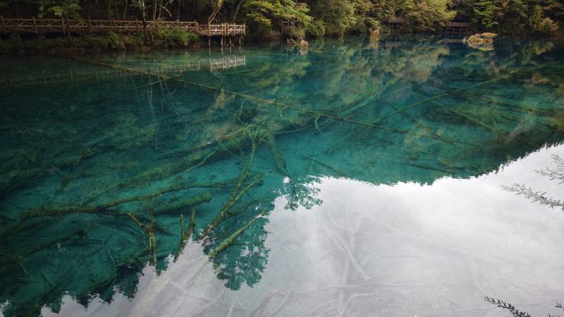 透明湖底的神秘森林--四川九寨沟图片