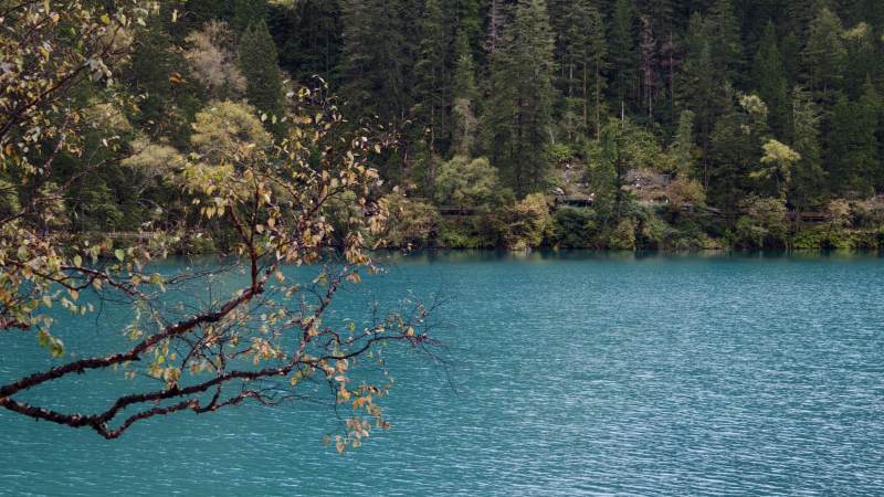湖光山色 宁静自然--四川九寨沟图片