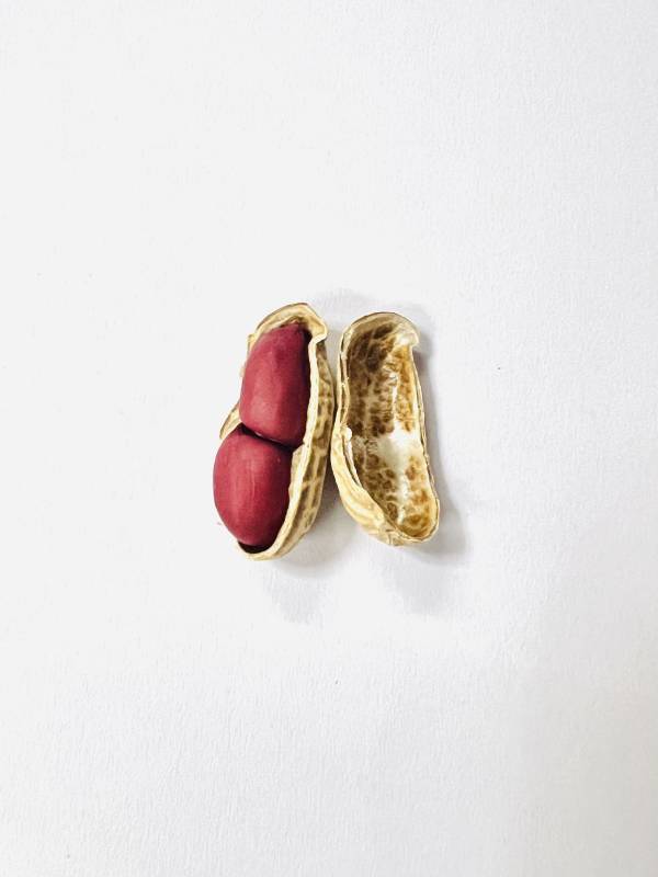 花生壳与红衣花生图片