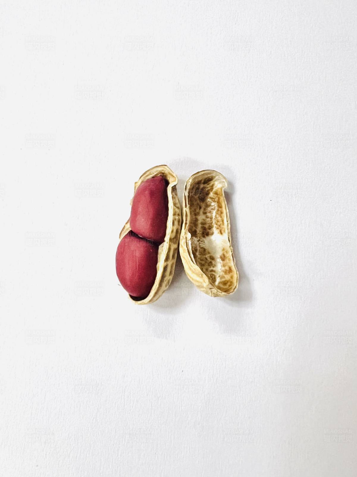 花生壳与红衣花生图片