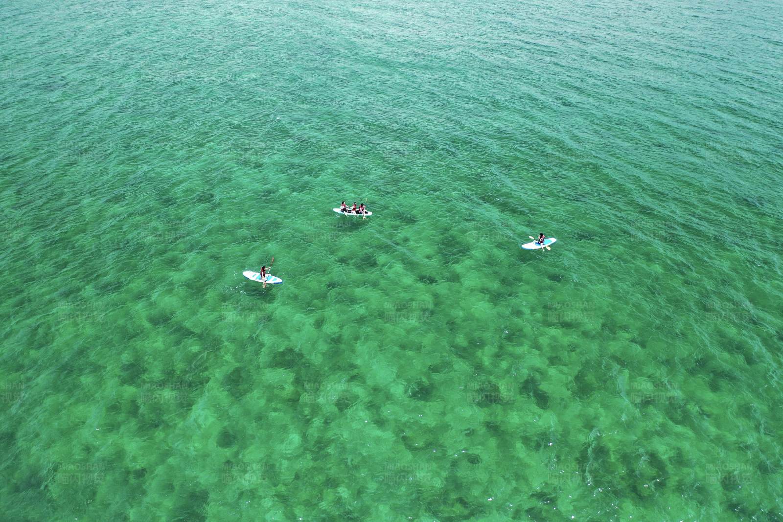 航拍海上划桨板运动--广西涠洲岛图片